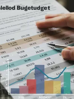 Detailed household budget spreadsheet exhibiting a 10% financial impact from 2025 US policy changes