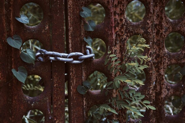 Government Shutdown January 2026: Potential Consequences for the US