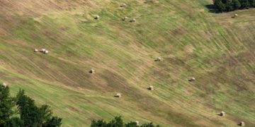 5G Expansion: Transforming Rural Internet Access in the US by 2025 - Cover Image