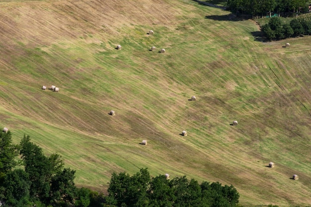 5G Expansion: Transforming Rural Internet Access in the US by 2025
