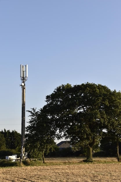 A close-up shot of a 5G cellular tower installed in a rural environment, surrounded by green fields and a clear blue sky. The image highlights the modern technology contrasting with the natural landscape, symbolizing the convergence of advanced connectivity in underserved areas.
