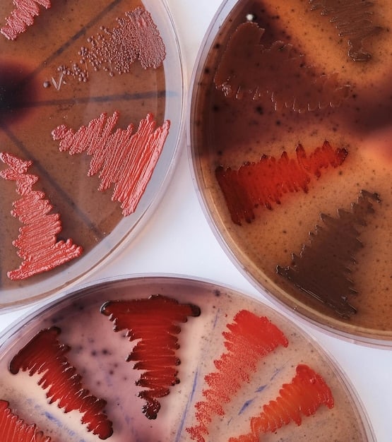 A close-up of a blood sample being analyzed for genetic markers, emphasizing the diagnostic aspect of genetic diseases and the precision required for gene editing.